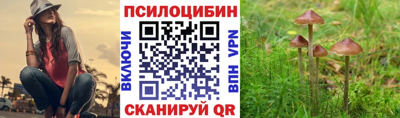Псилоцибиновые грибы Cubensis Лагань