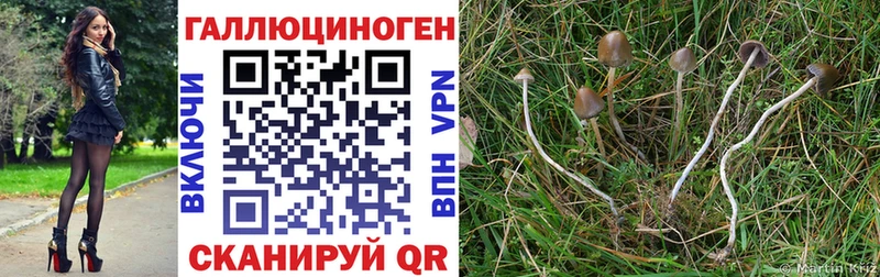 MEGA   где купить   Лагань  Галлюциногенные грибы мицелий 